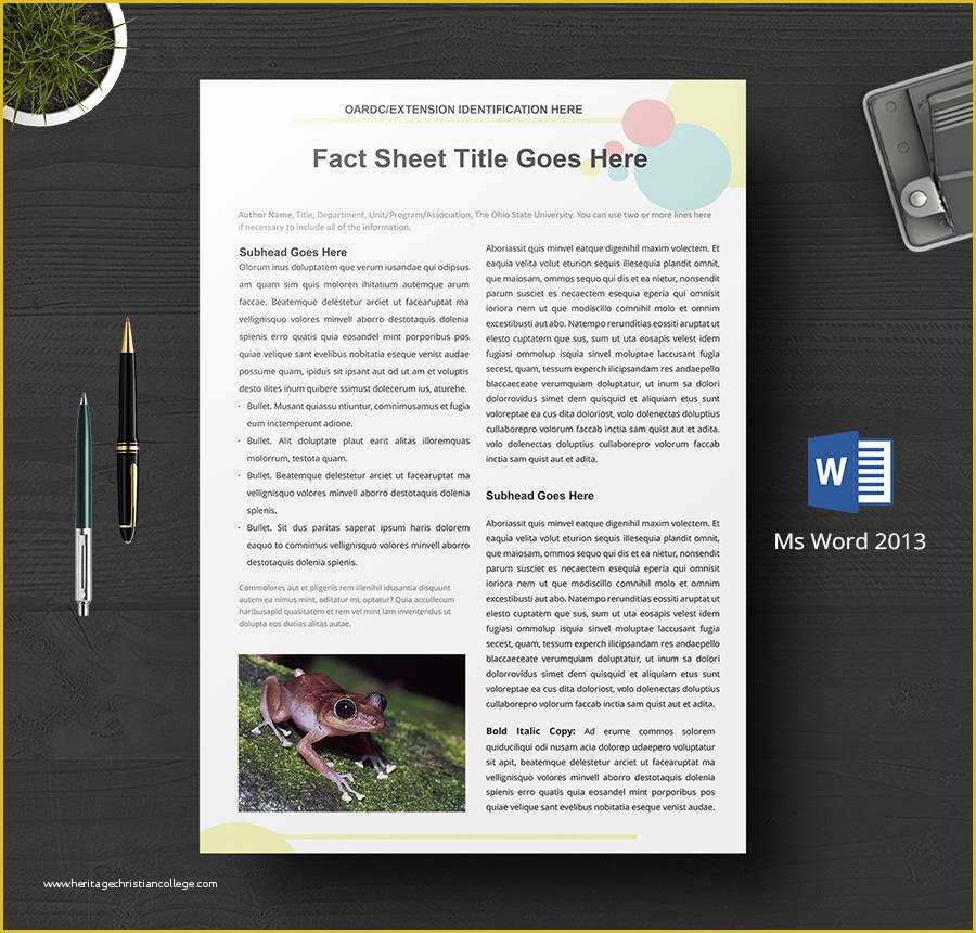 One Sheet Template Free Of 8 Free Fact Sheet Templates Survey Campaign