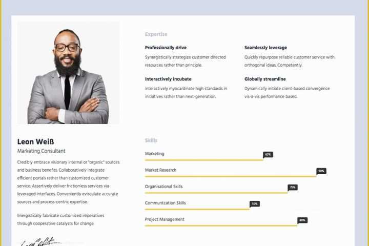 Online Resume Website Template Free Of Free Resume Website Template