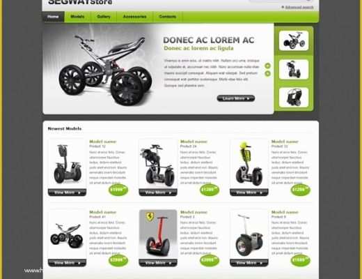 Online Shopping Cart Website Templates Free Download Of Free E Merce Css Template for Segway Store Free Css