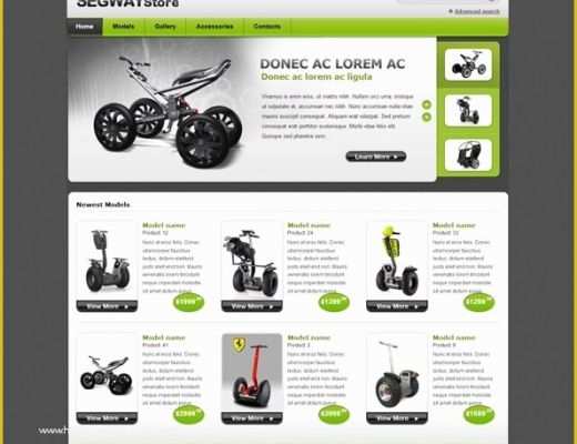 Online Shopping Cart Website Templates Free Download Of Free E Merce Css Template for Segway Store Free Css