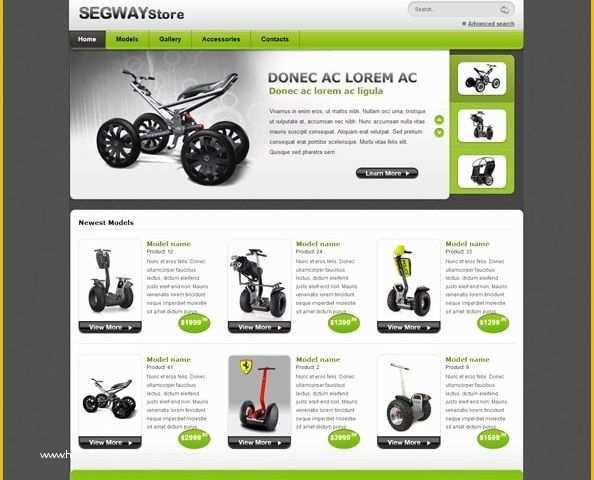 Online Shopping Cart Website Templates Free Download Of Free E Merce Css Template for Segway Store Free Css