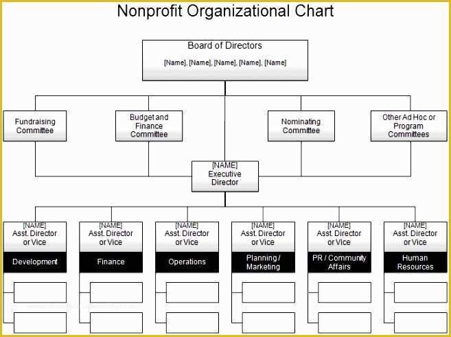 Org Chart Free Templates Excel Of 10 organization Chart Excel Template Download