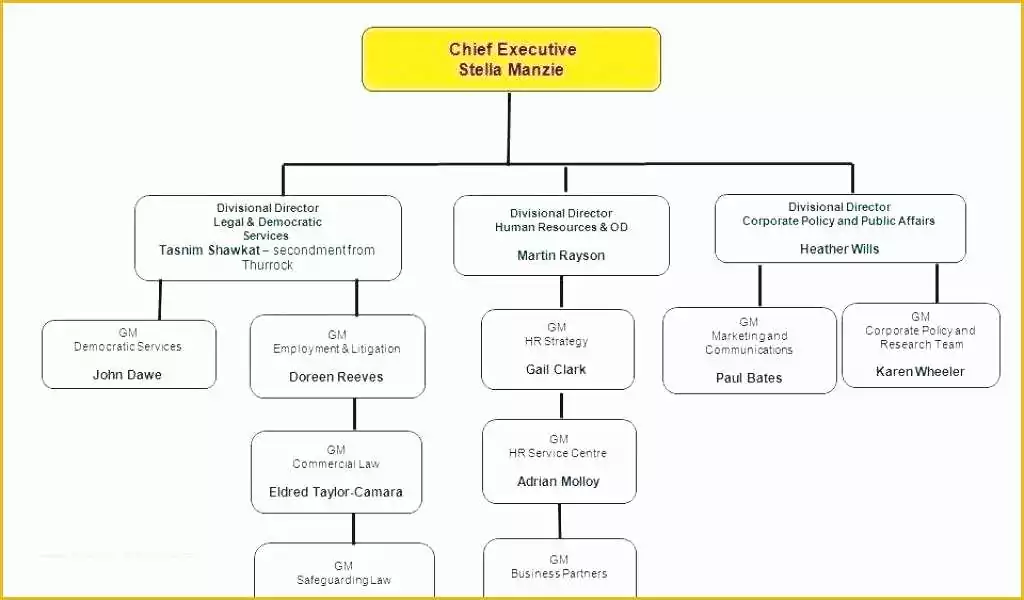 Organizational Chart Template Free Download Excel Of Excel Animated Chart Charts Fundraising org In