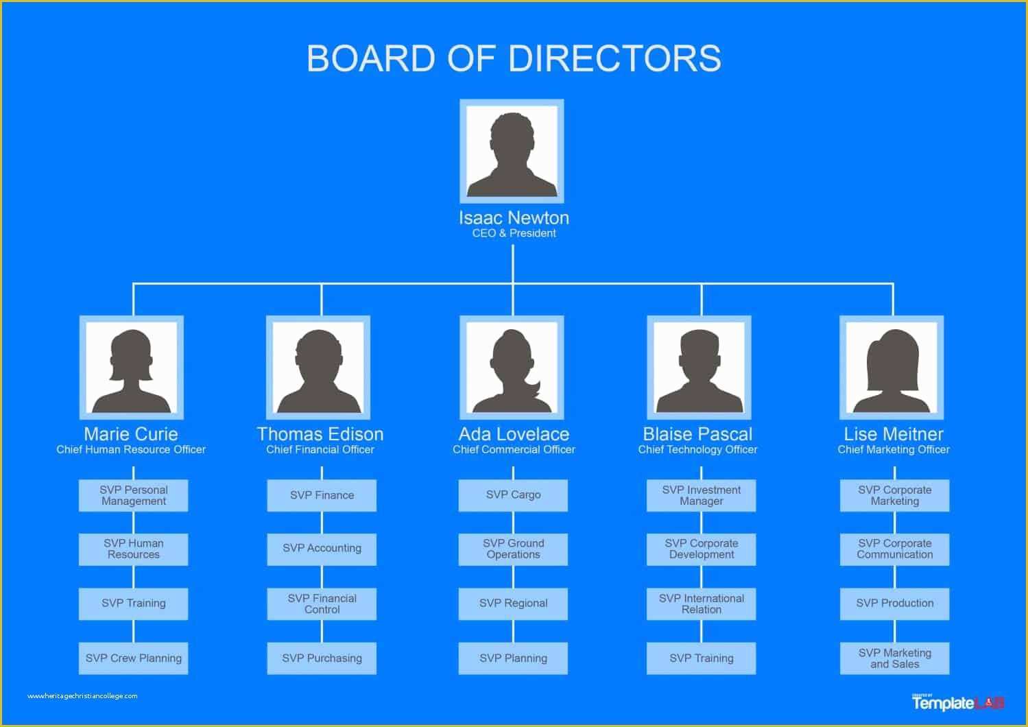 Organizational Chart Template Free Download Of 40 organizational Chart Templates Word Excel Powerpoint
