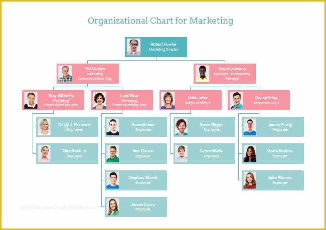 Organizational Chart Template Free Download Of Marketing org Chart