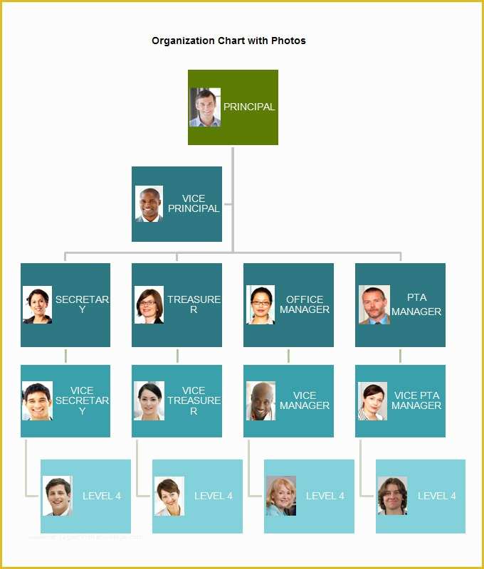 Organizational Chart Template Free Download Of organizational Chart Template 10 Free Word Excel Pdf