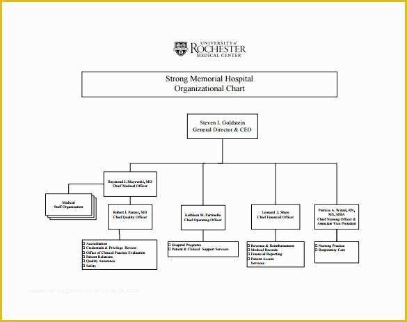 Organizational Chart Template Free Download Of organizational Chart Template – 9 Free Sample Example