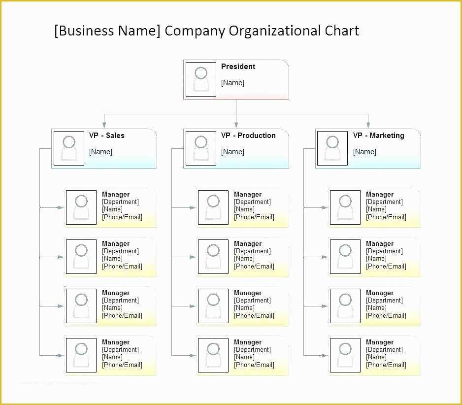 Organizational Chart Template Free Download Of Pany Chart Template – Puebladigital