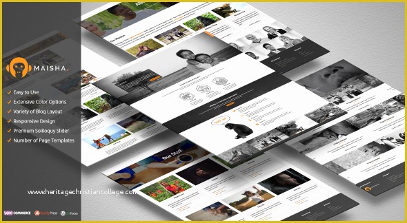 Orphanage Website Templates Free Download Of 15 Non Profit PHP themes and Templates
