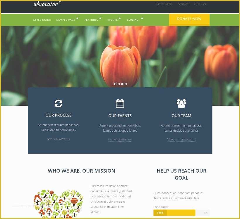 Orphanage Website Templates Free Download Of 17 Best Non Profit Website themes &amp; Templates