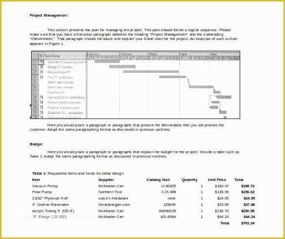 Painting Proposal Template Free Of 16 Inspirational Project Proposal format