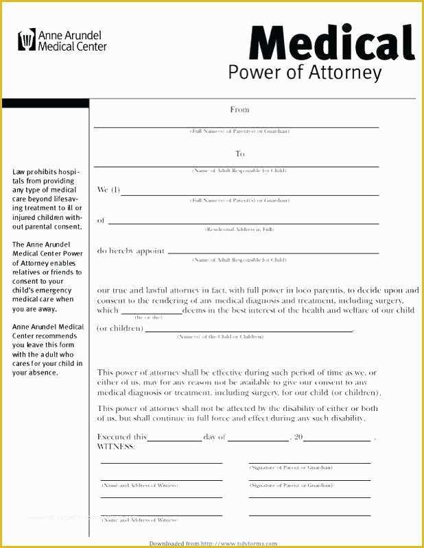 Parent Child Contract Templates Free Download Of Parent Child Loan Agreement Template