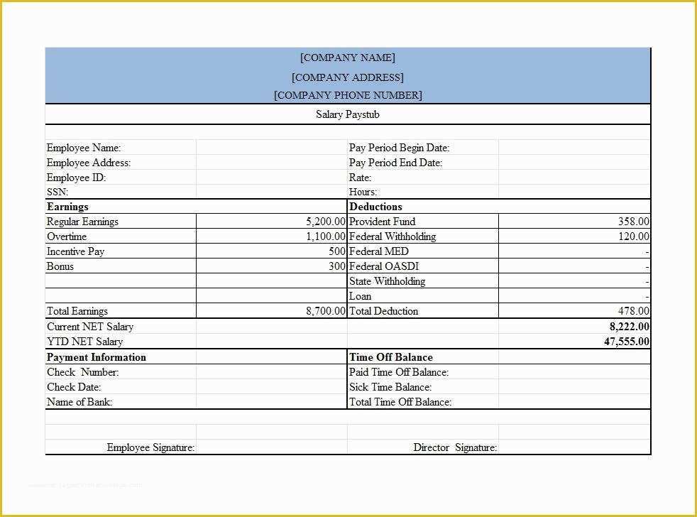 Pay Stub Template Free Of 25 Great Pay Stub Paycheck Stub Templates