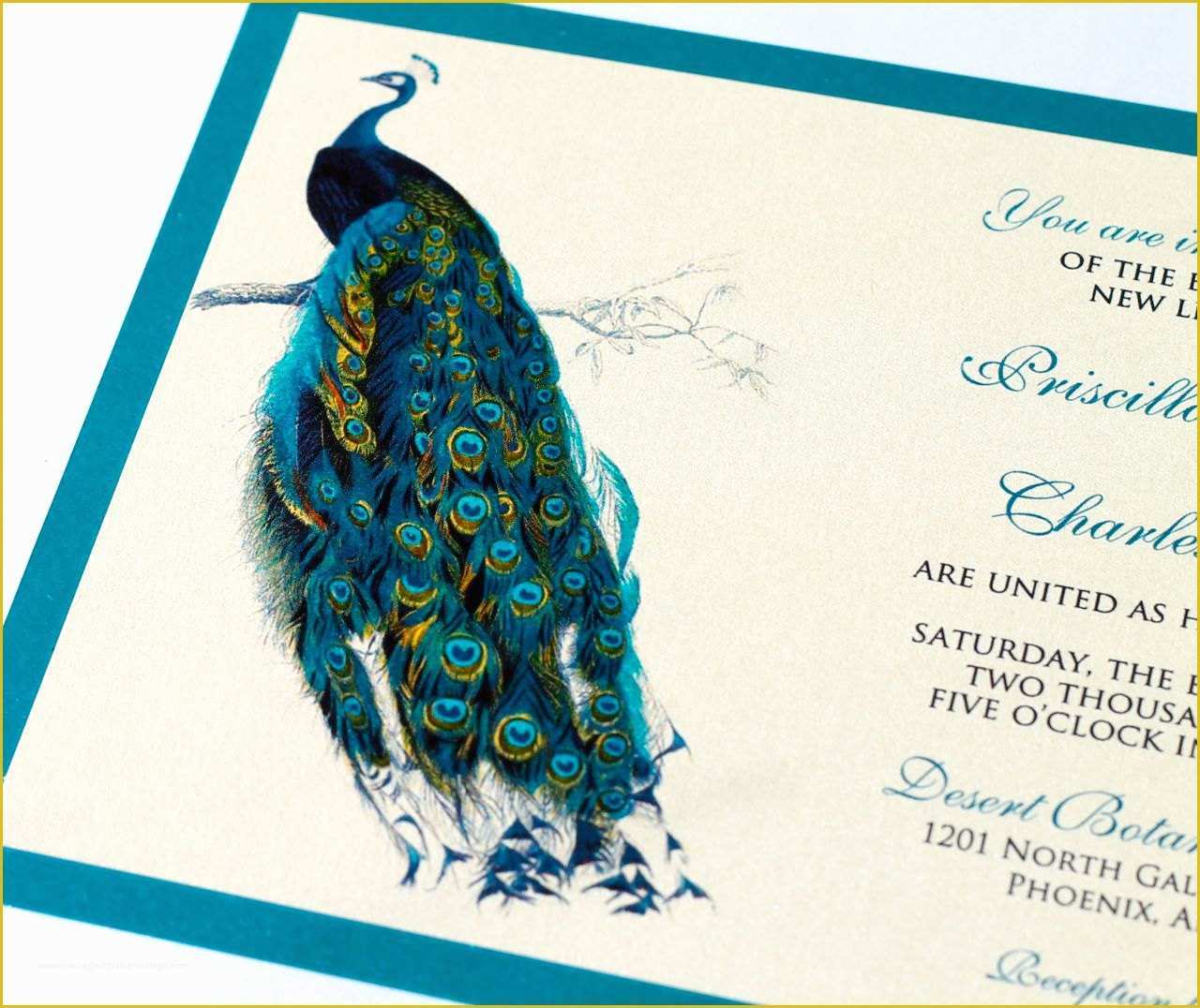 Peacock Invitations Template Free Of Priscilla Peacock Wedding Invitation Sample Ivory Ecru