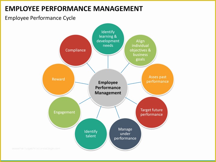 Performance Management Templates Free Of Employee Performance Management Powerpoint Template