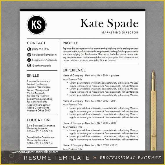 Personal Resume Template Free Of Best 25 Professional Resume Template Ideas On Pinterest