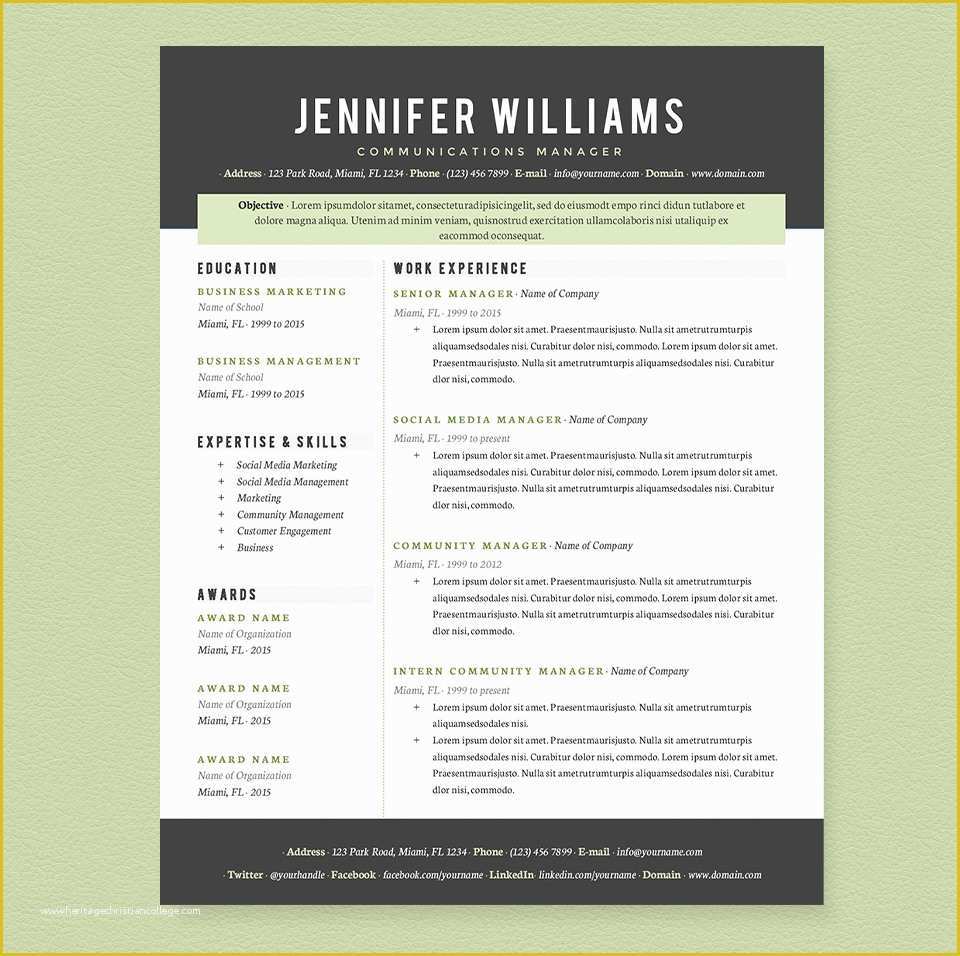 Personal Resume Template Free Of Professional Resume Template Pkg Resume Templates On