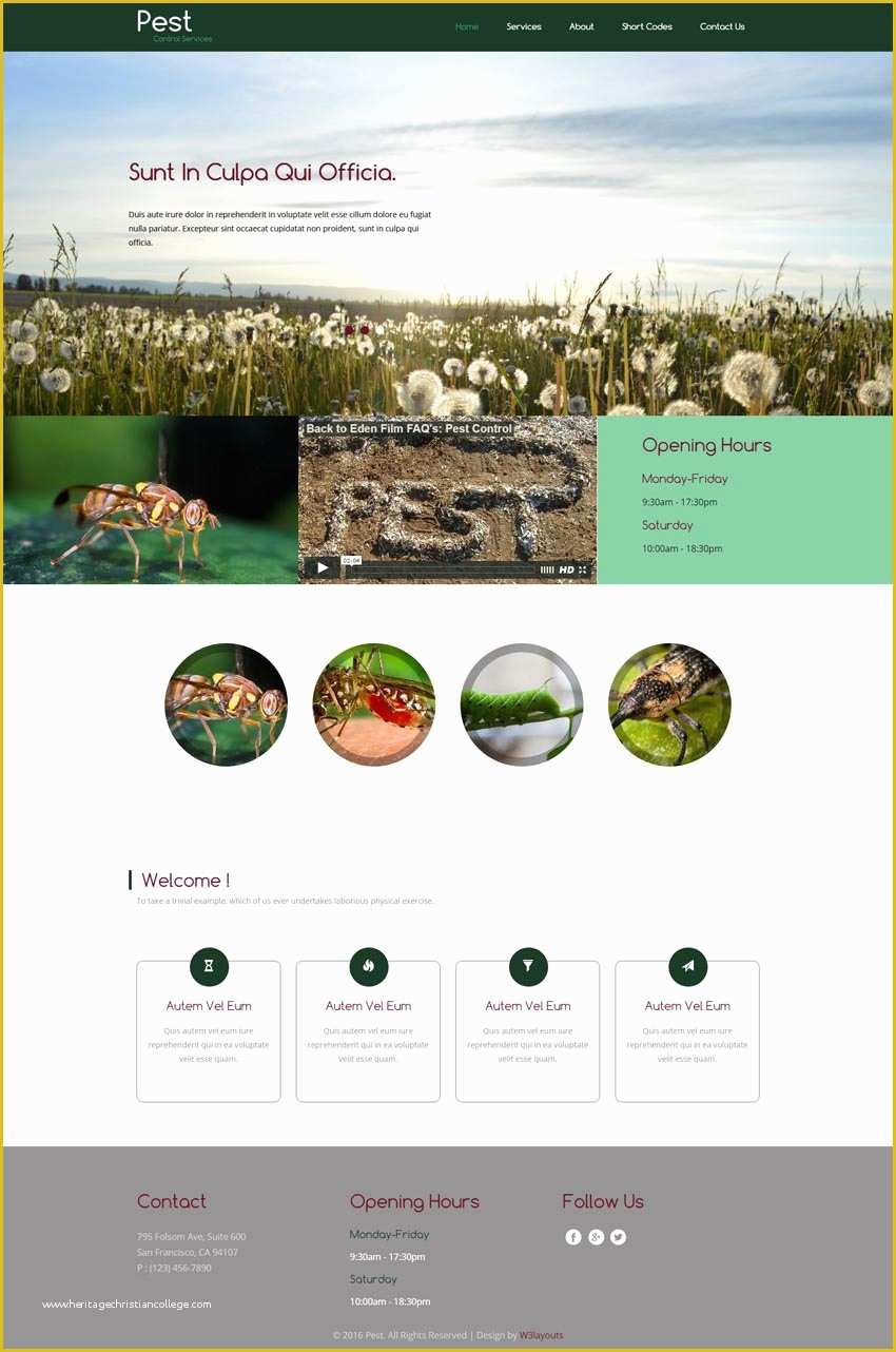 Pest Control Website Templates Free Download Of Pest A Animals Category Flat Bootstrap Responsive Web
