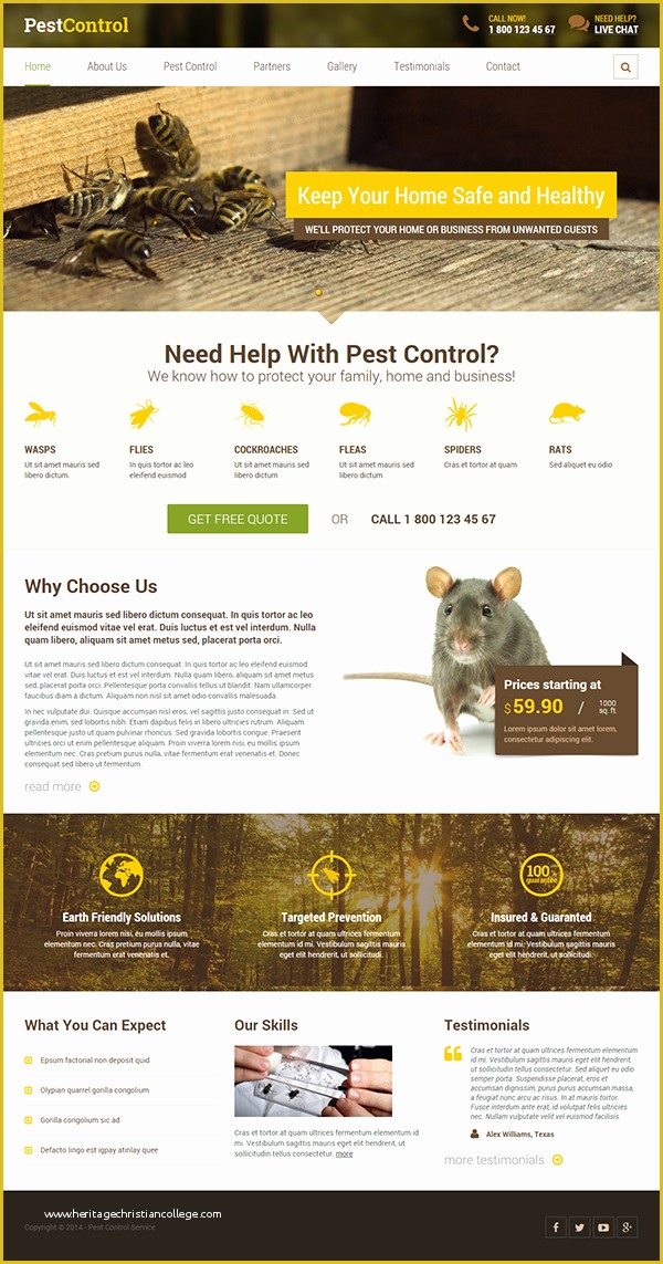 Pest Control Website Templates Free Download Of Pest Control HTML Template On Behance