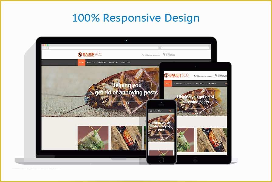 Pest Control Website Templates Free Download Of Pest Control Responsive Website Template