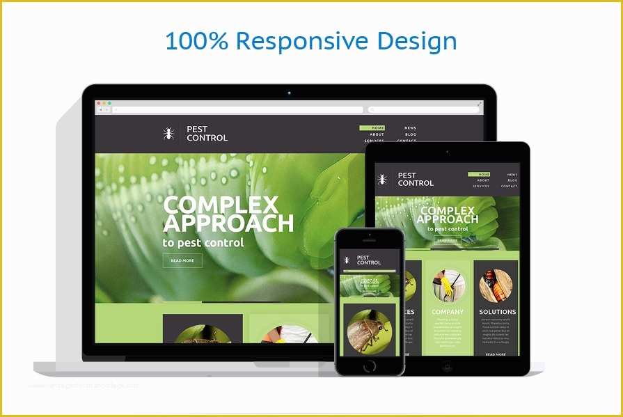 Pest Control Website Templates Free Download Of Pest Control Responsive Website Template