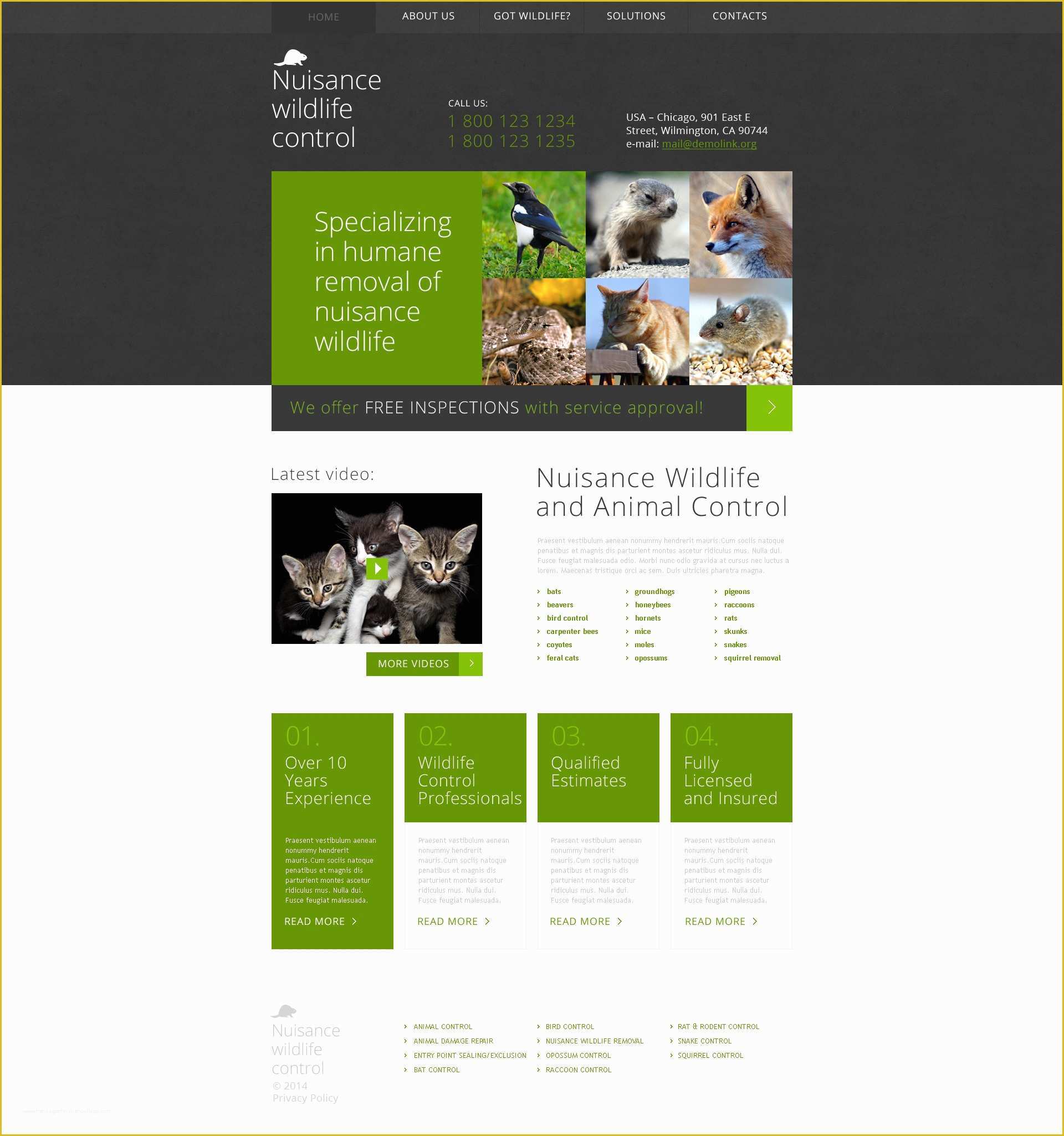 Pest Control Website Templates Free Download Of Pest Control Responsive Website Template