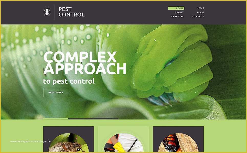 Pest Control Website Templates Free Download Of Pest Control Responsive Website Template