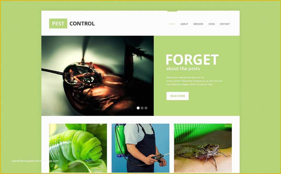 Pest Control Website Templates Free Download Of Pest Control Responsive Website Template