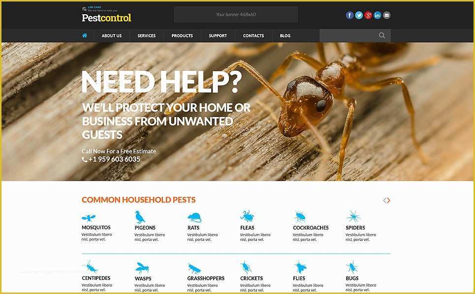 Pest Control Website Templates Free Download Of Pest Control Responsive Website Template