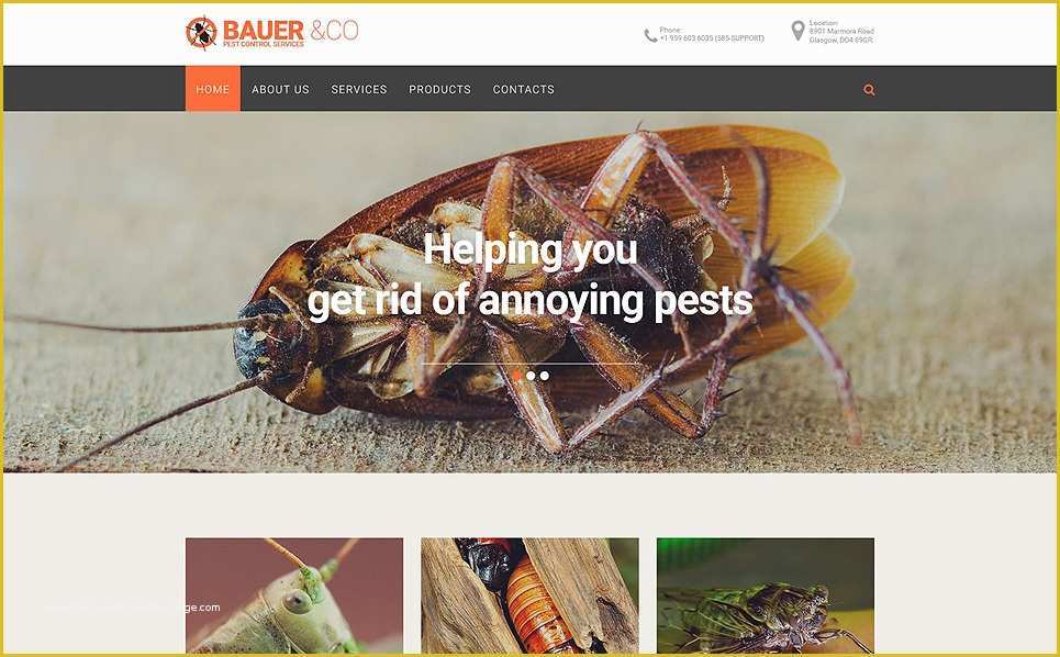 Pest Control Website Templates Free Download Of Pest Control Responsive Website Template