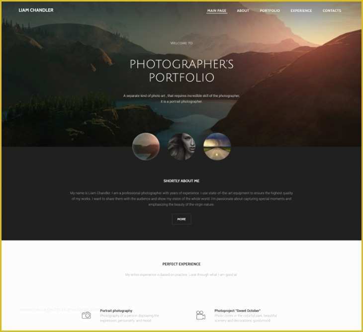 Photo Gallery Website Template Free Of 8 Best Grapher Website themes &amp; Templates
