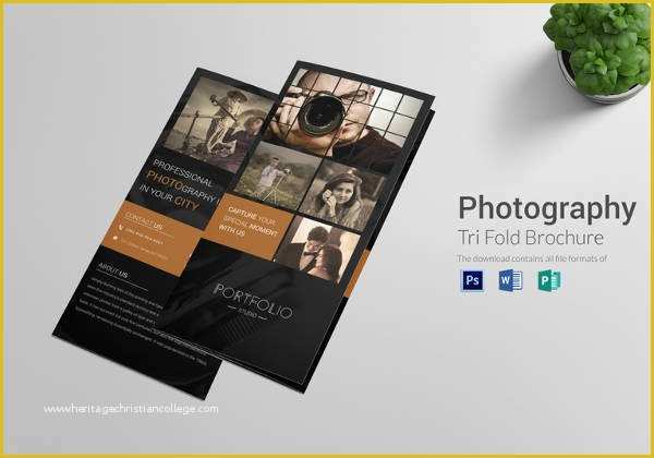 Photography Brochure Templates Free Of Blank Tri Fold Brochure Templates – 31 Free Psd Ai