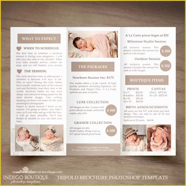 Photography Brochure Templates Free Of Newborn Graphy Trifold Brochure Template Client