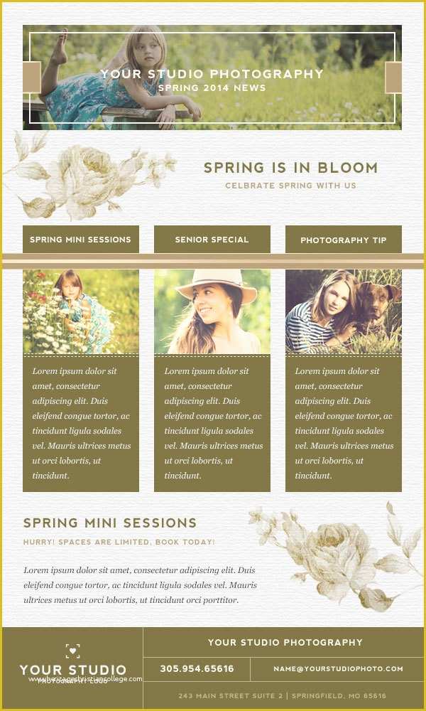 Photography Email Templates Free Of Email Marketing Templates for Graphers Templates