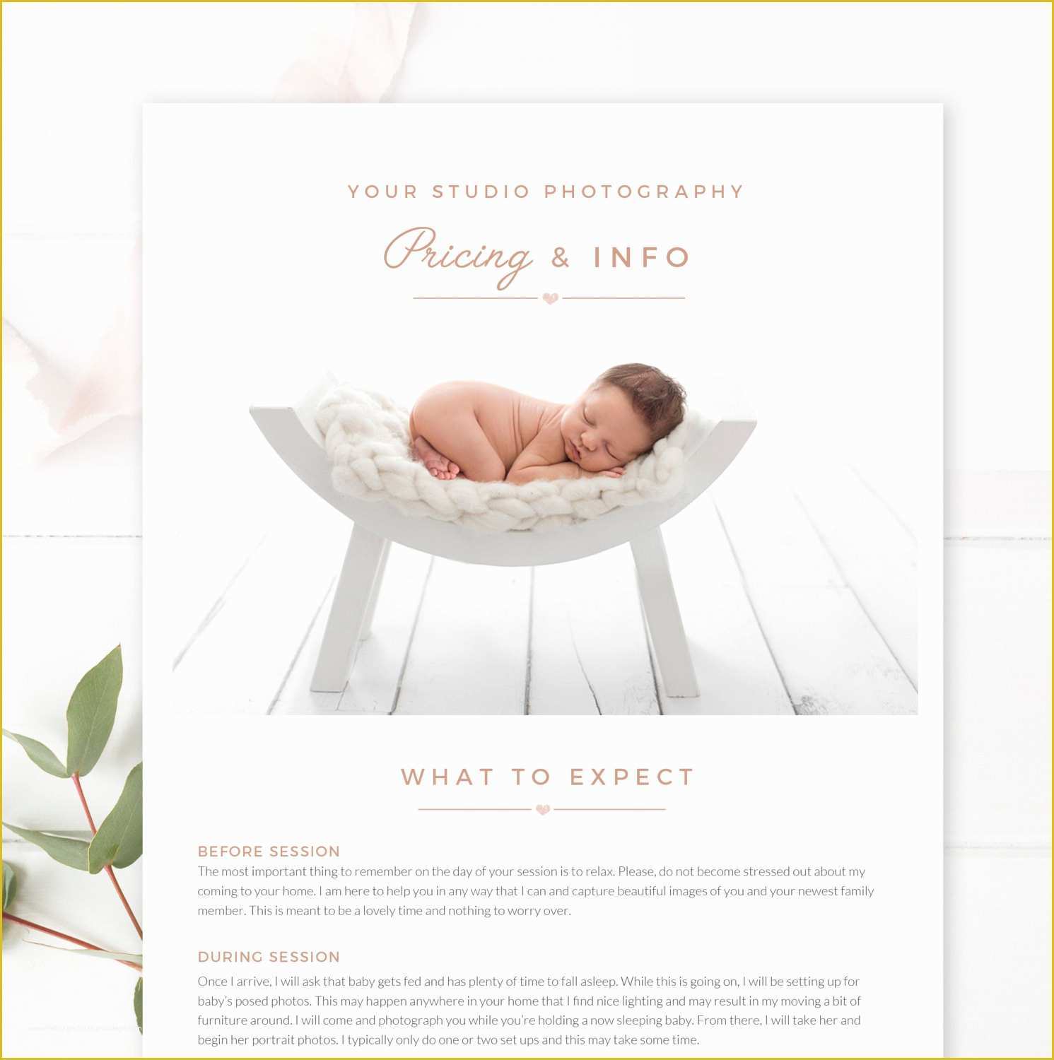 Photography Email Templates Free Of Graphy Email Template Email Newsletter Template