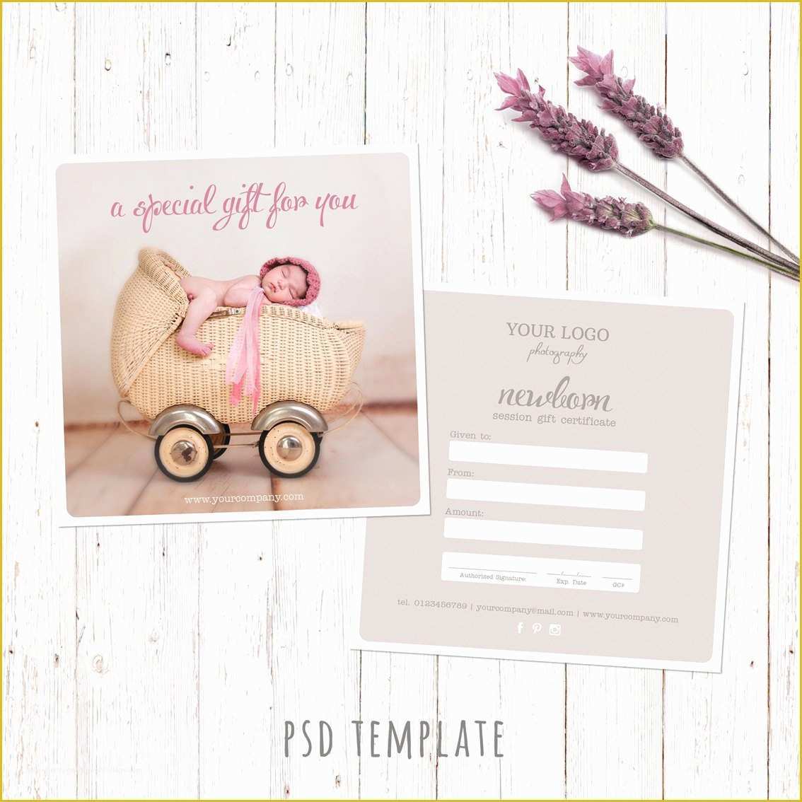 Photography Gift Certificate Template Free Of Gift Certificate Template Newborn Session Photography T