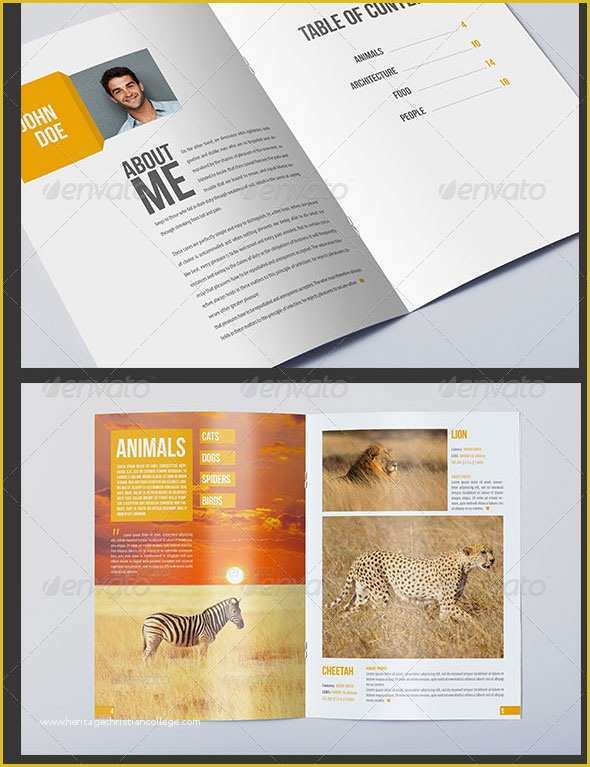 Photography Portfolio Template Indesign Free Of 12 Cd Art Template Indesign Dvd Disc Art Cd