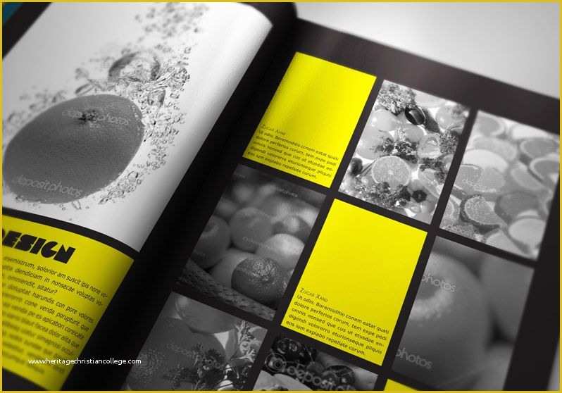 Photography Portfolio Template Indesign Free Of Free Indesign Portfolio Book Presenter