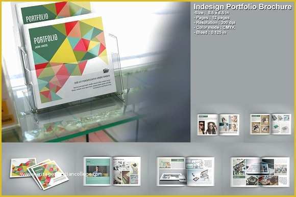 Photography Portfolio Template Indesign Free Of Indesign Portfolio Brochure V207 Brochure Templates