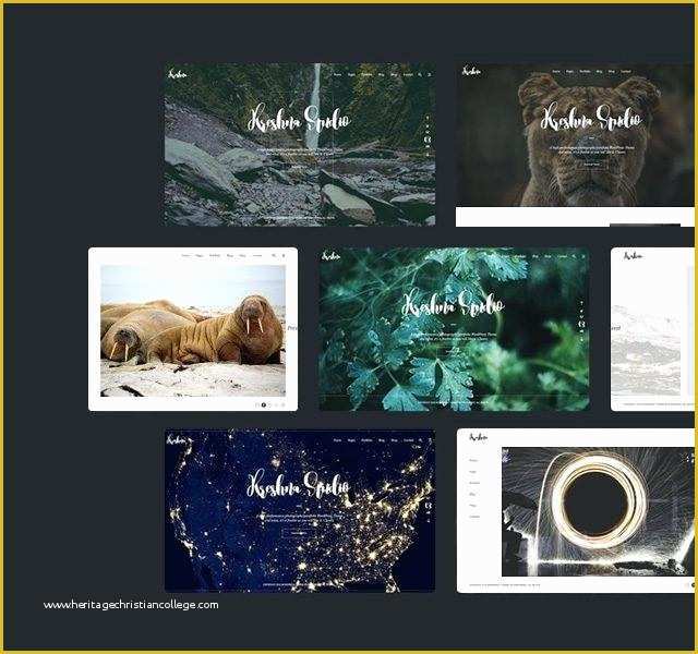 Photography Portfolio Website Templates Free Of Graphy Portfolio Template Free Download Wedding