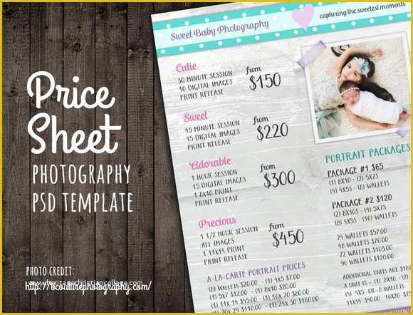 Photography Price List Template Free Of Price Sheet Template 9 Free Samples Examples format