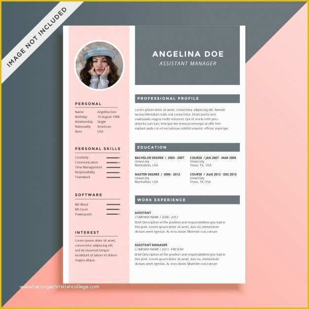 Pink Resume Template Free Of Feminine and Elegant Resume Template Vector