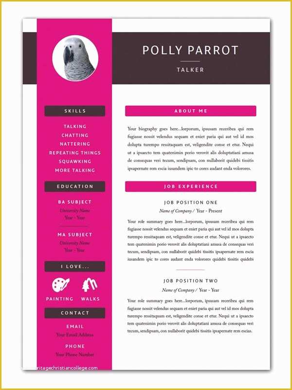 Pink Resume Template Free Of Free Indesign Templates 35 Beautiful Templates for