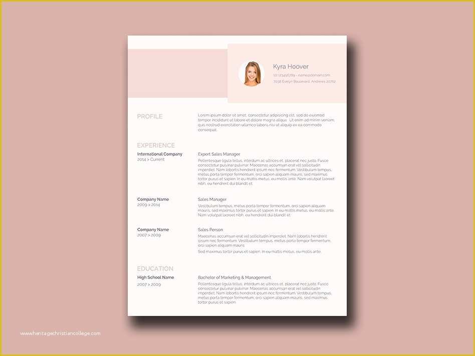 Pink Resume Template Free Of Pink Resume Free Resume Template with Feminine Style