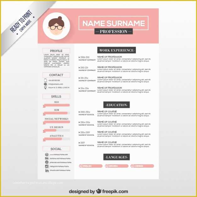 Pink Resume Template Free Of Pink Resume Template Vector