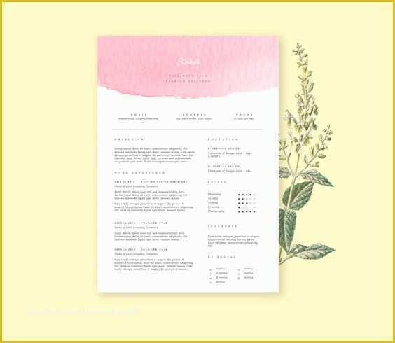 Pink Resume Template Free Of Pink Resume Template with Cover Letter Cv Template In by