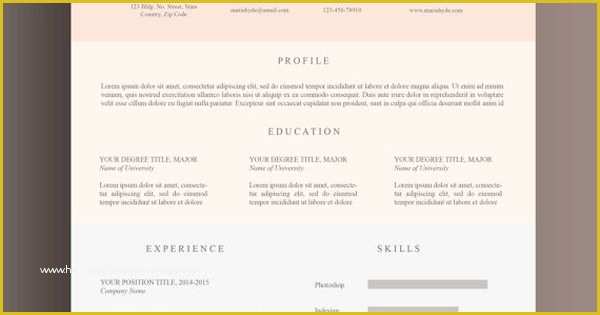 Pink Resume Template Free Of Resume Template Cv Professional Free Cover Letter