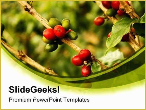 Plant Powerpoint Templates Free Download Of Coffee Plants Nature Powerpoint Templates and Powerpoint