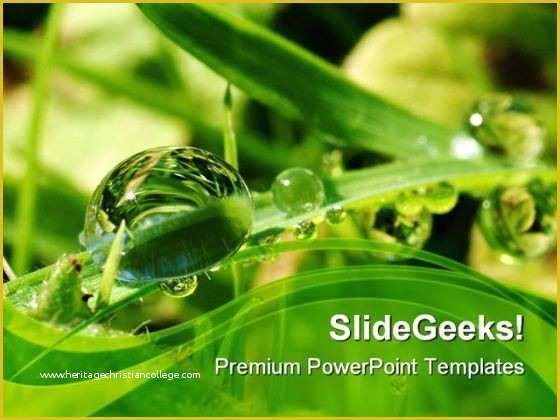 Plant Powerpoint Templates Free Download Of Dew Drops Leaves Nature Powerpoint Templates and