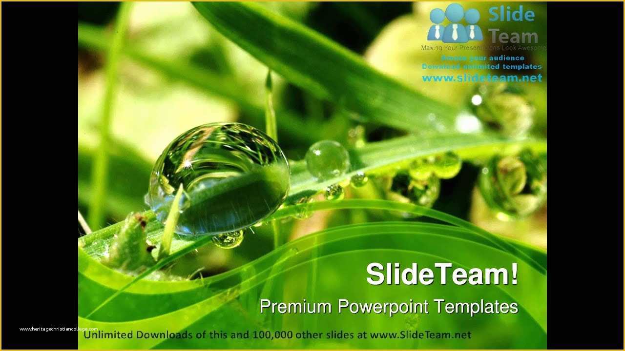 Plant Powerpoint Templates Free Download Of Dew Drops Leaves Nature Powerpoint Templates themes and